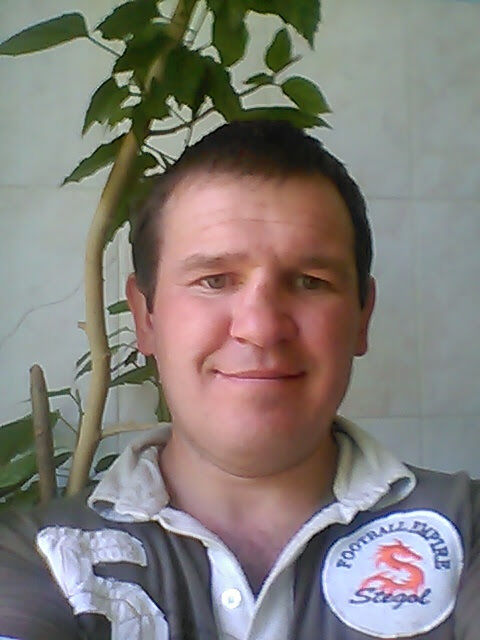  41328843  , 46 ,    