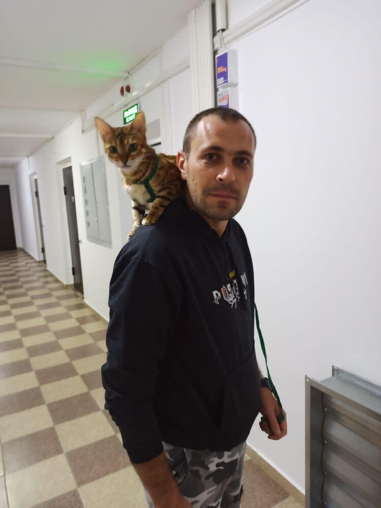 ���� 31876513 ������� �������, 34 ����, ���� ���������� � �������-��-����