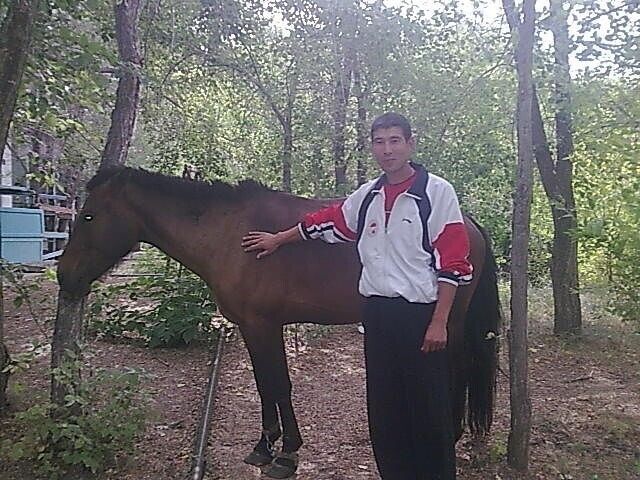 ���������� �����, ���� ������� �����, 45 ���, ������������ ��� ������, ����� � ���������, c�������� ���������