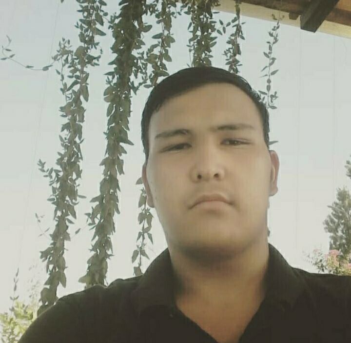 ���������� ������, ���� ������� ������, 26 ���, ������������ ��� ������, ����� � ���������