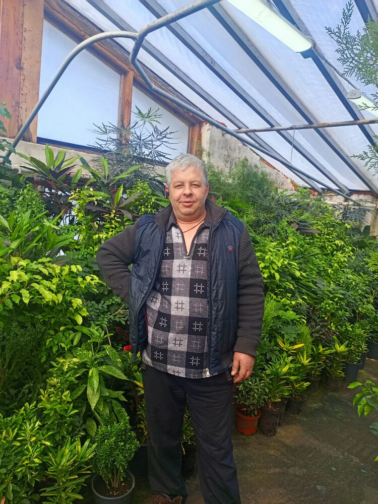 ���� 56162213 ������� �������, 46 ���, ���� ���������� � ��������