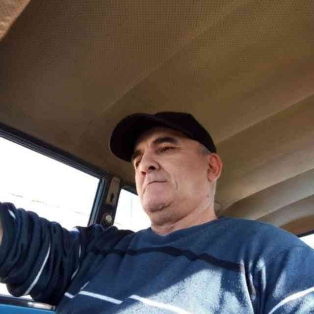 ���� 56081033 ������� �����, 53 ����, ���� ���������� � ����������