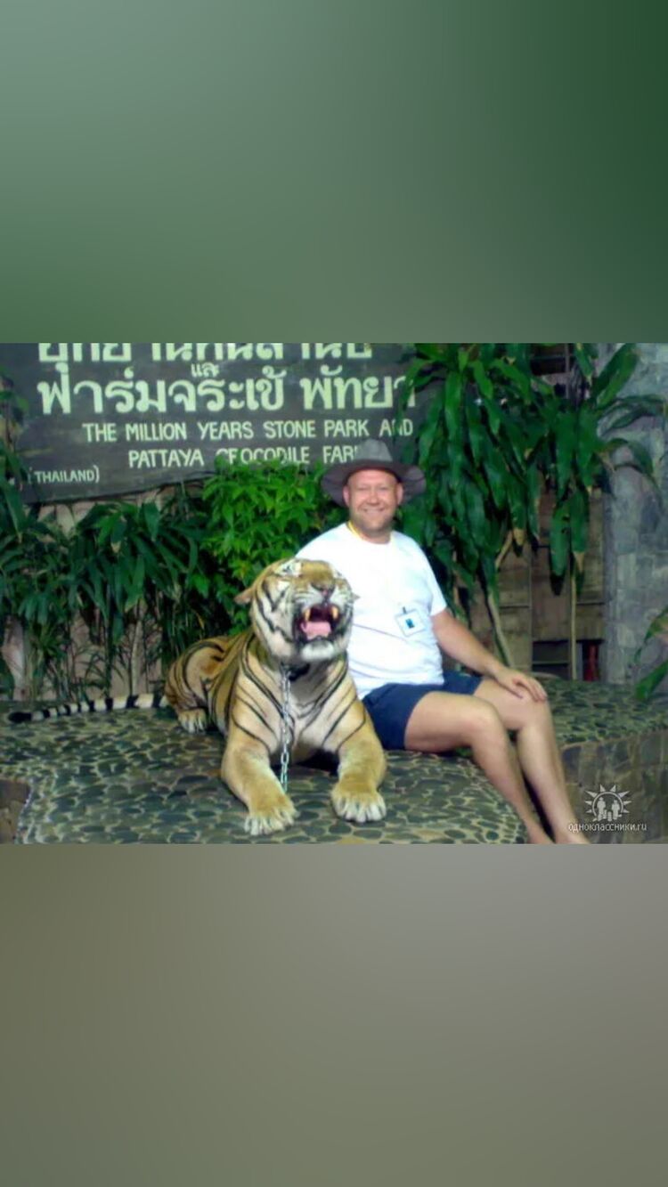  ,   , 54 ,   ,   , c , 