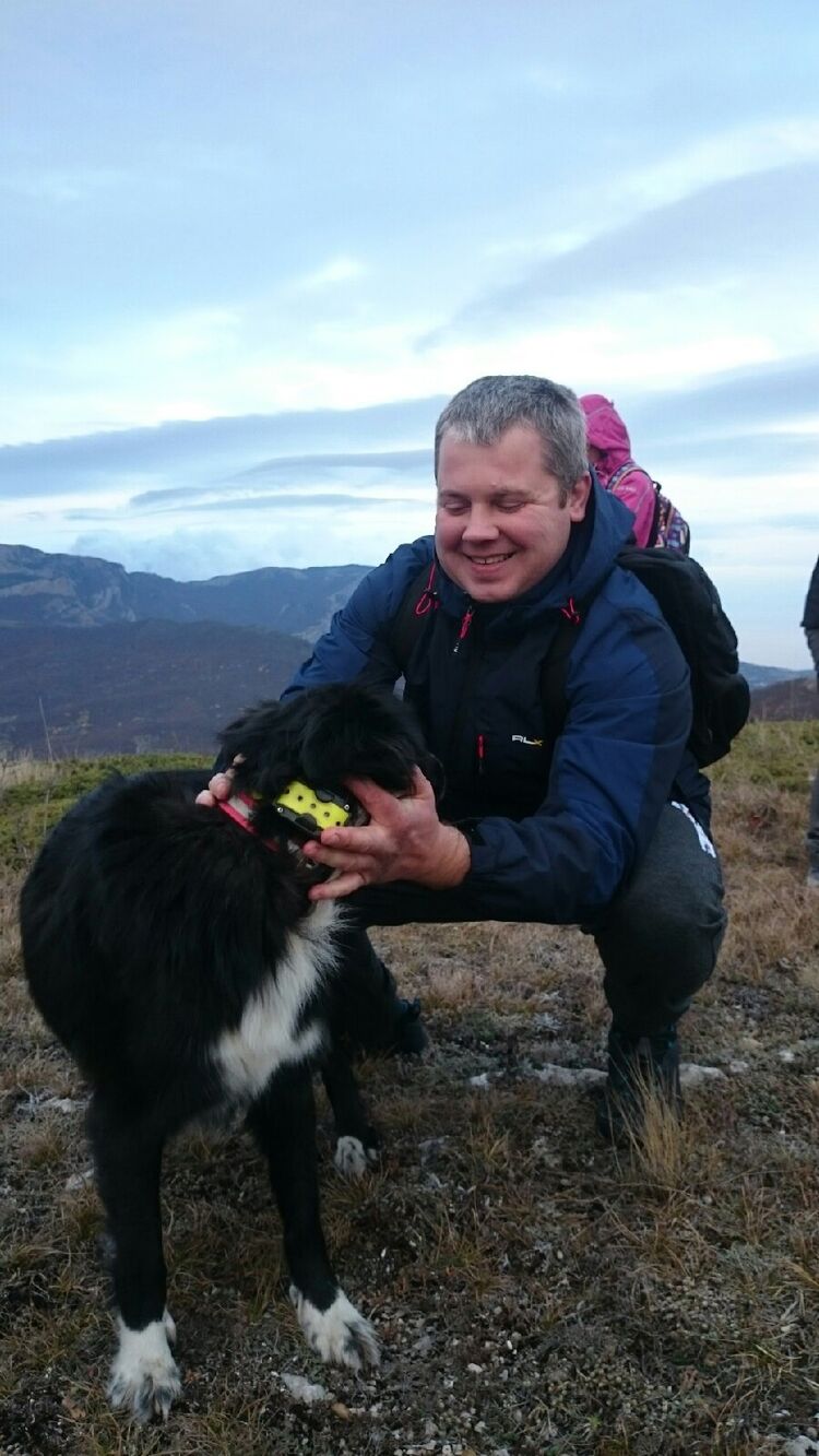 ���������� �����������, ���� ������� �����, 37 ���, ������������ ��� ������, ����� � ���������, c�������� ���������