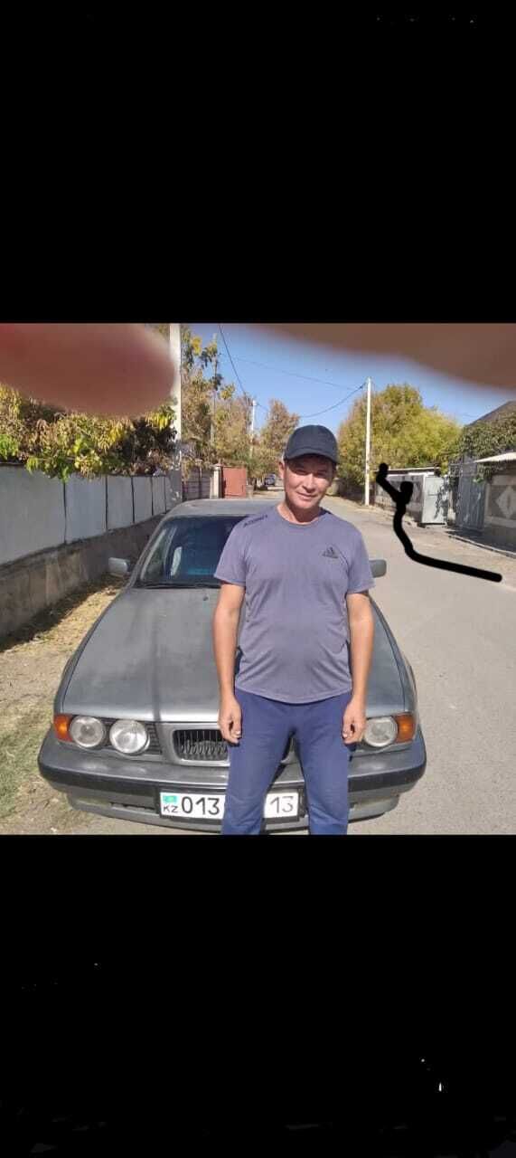 ���� 56097003 ������� ��������, 48 ���, ���� ���������� � ��������