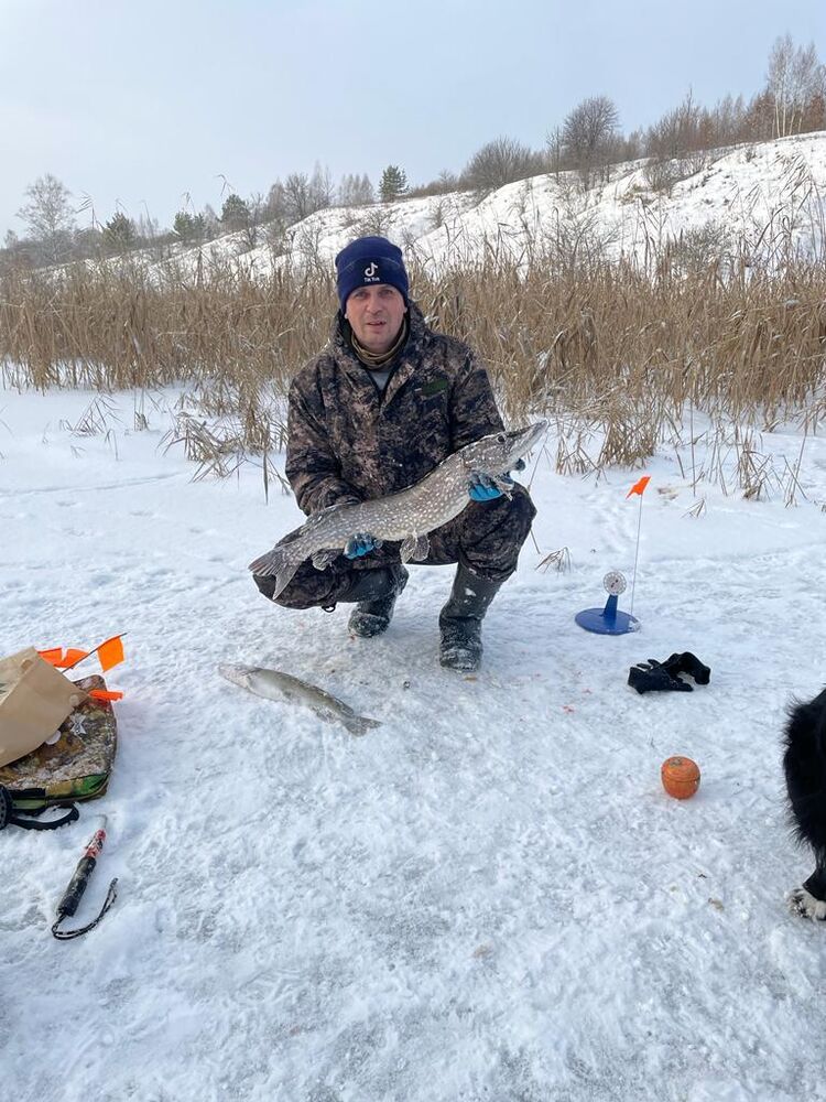 ���� 40927843 ������� ����, 35 ���, ���� ���������� � ����