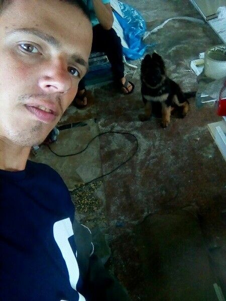 ���� 25513513 ������� ��������, 29 ���, ���� ���������� � ������