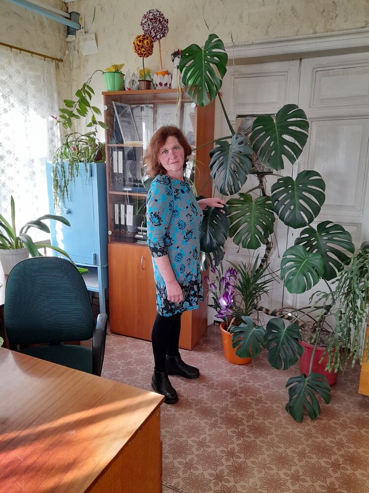  ,   , 55 ,   ,   
