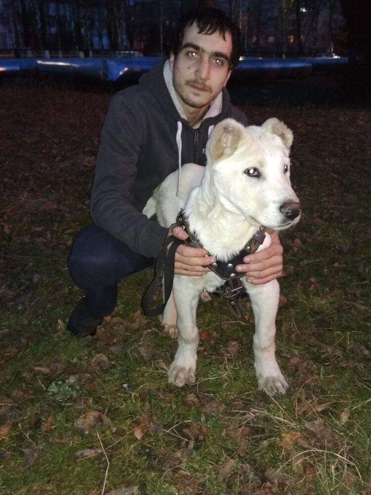 ���������� �����������, ���� ������� ������, 32 ����, ������������ ��� ������, ����� � ���������, c�������� ���������