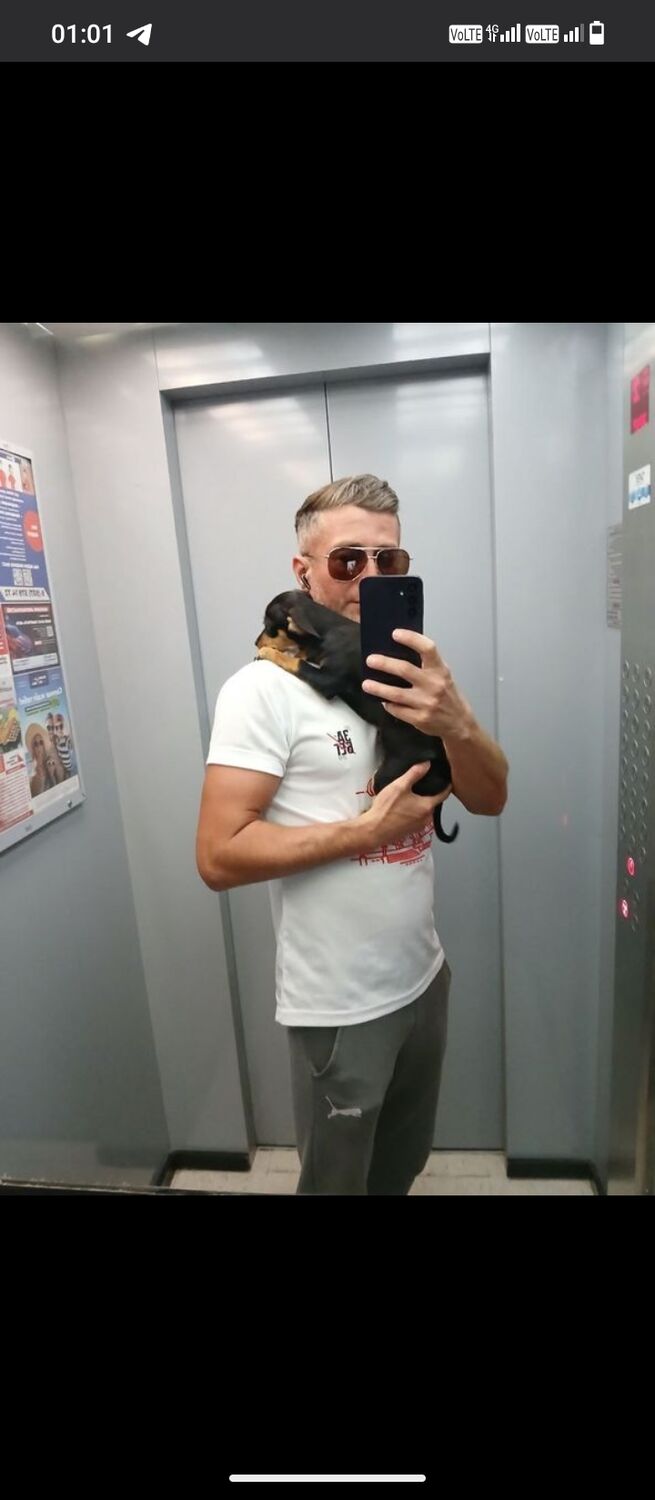 ���� 54104733 ������� ������, 40 ���, ���� ���������� � �����������