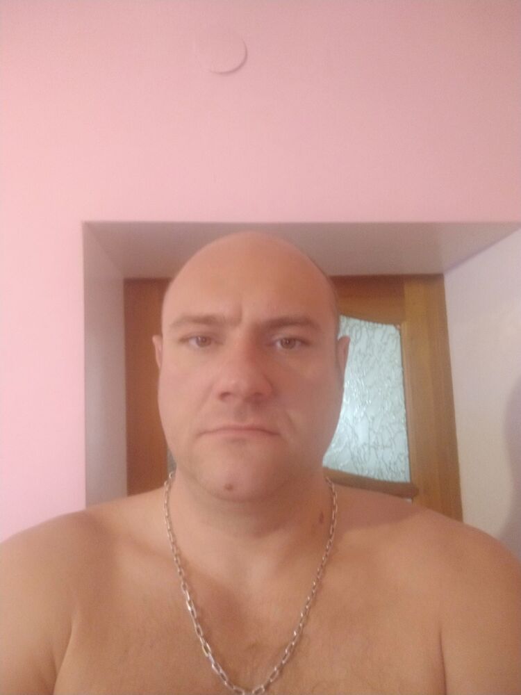  14184833  , 43 ,    