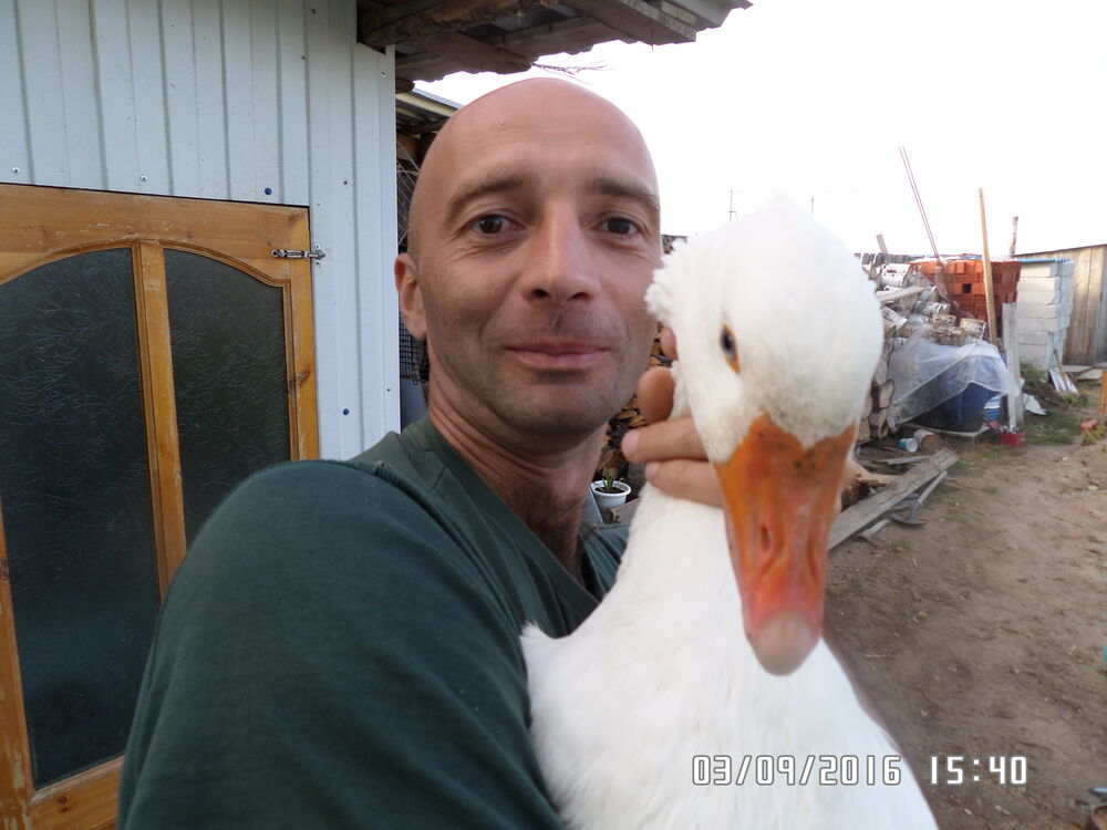 ���� 26073713 ������� ���������, 44 ����, ���� ���������� � ������