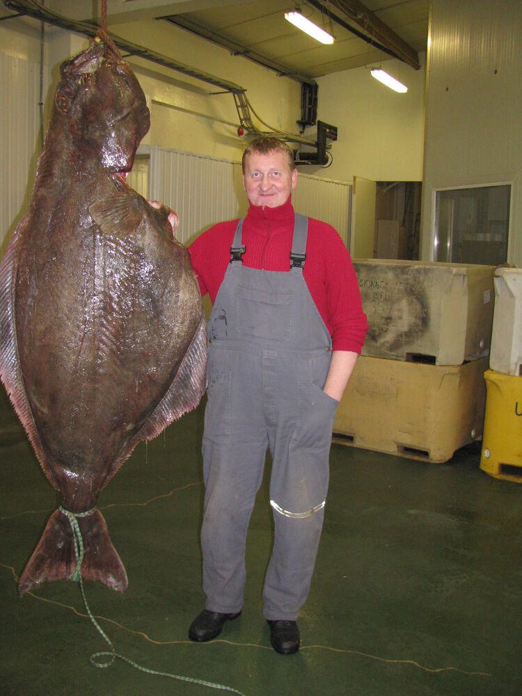  25834273  Sergei, 60 ,    