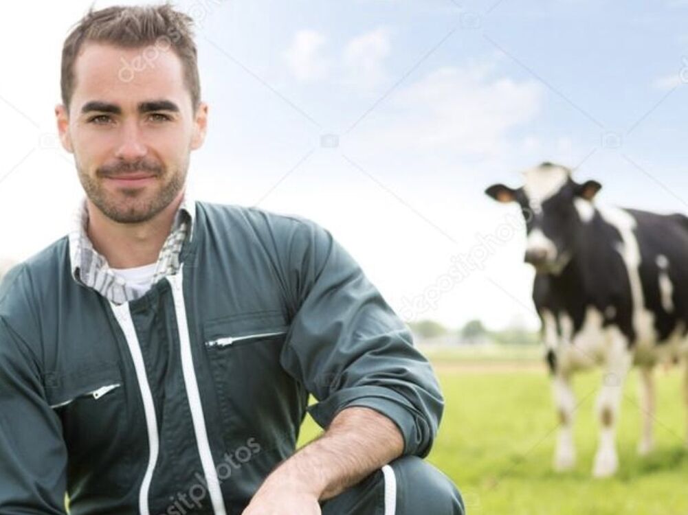 ���� 19091433 ������� Gregory, 38 ���, ���� ���������� � �������