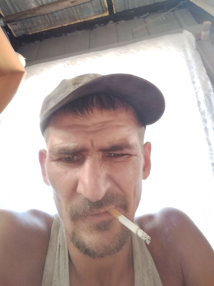  37536883  , 40 ,    