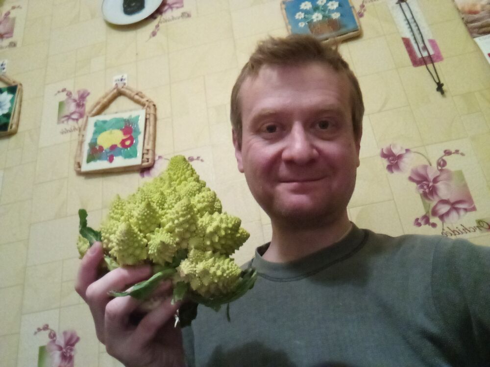 ���������� ������, ���� ������� Kit, 45 ���, ������������ ��� ������, ����� � ���������, c�������� ���������