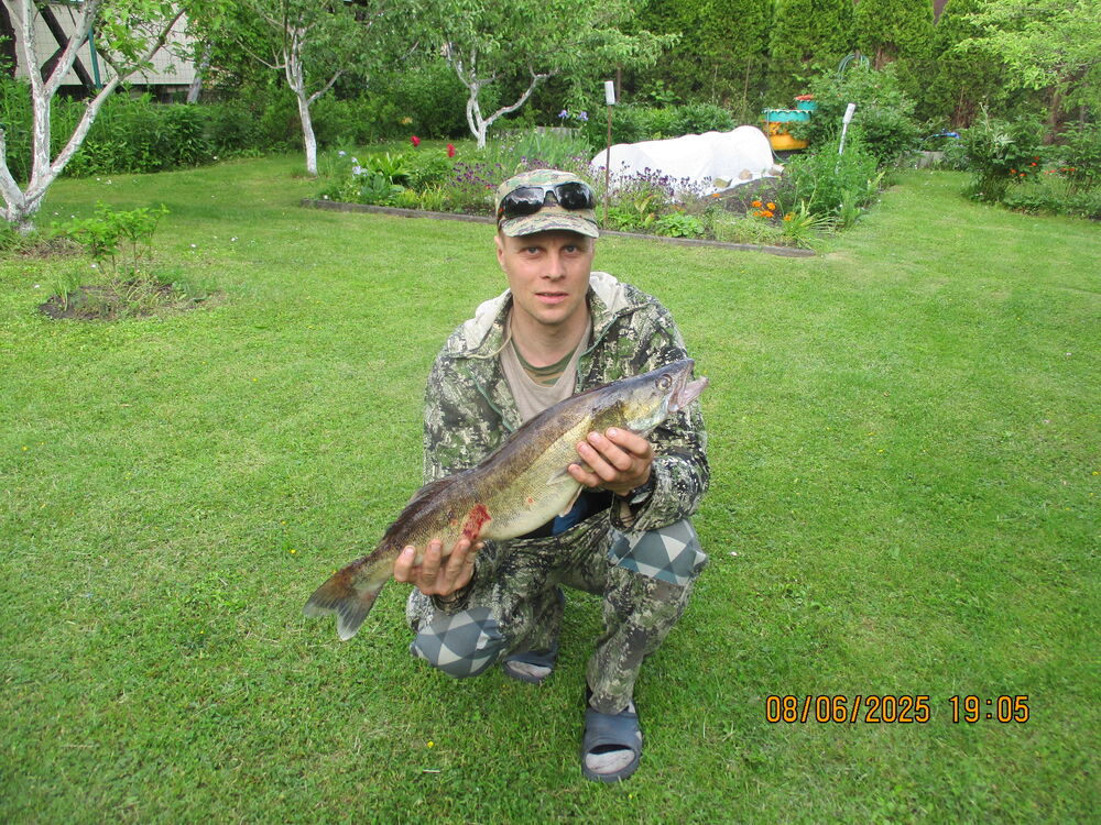 ���������� ����, ���� ������� ������, 42 ����, ������������ ��� ������, ����� � ���������