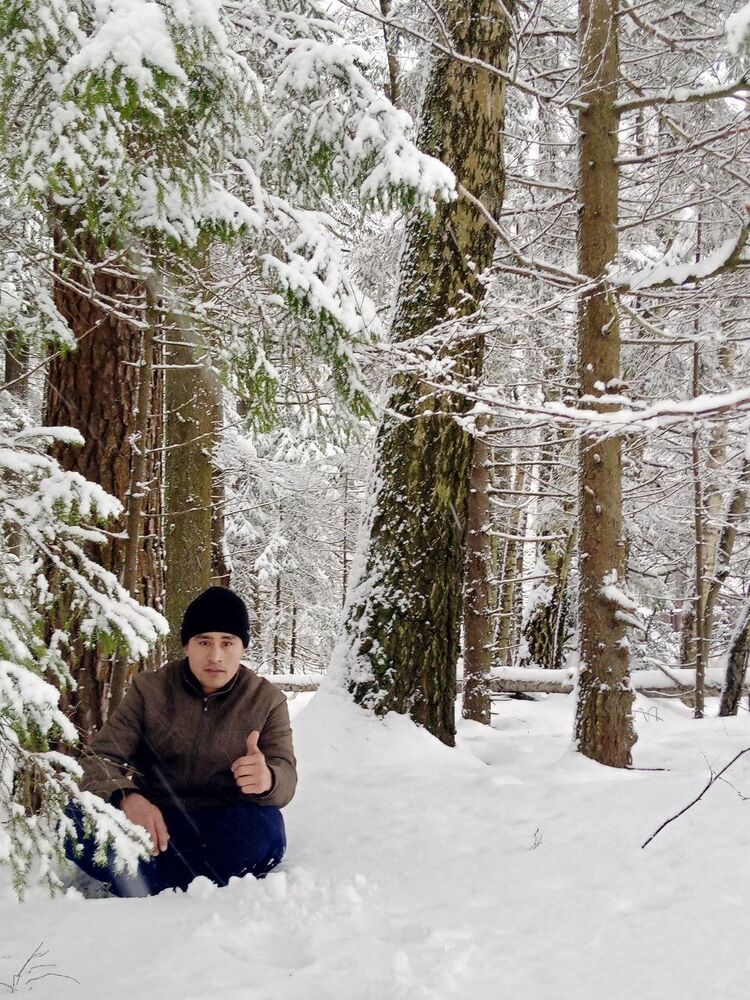 ���������� ������, ���� ������� �����, 37 ���, ������������ ��� ������, ����� � ���������