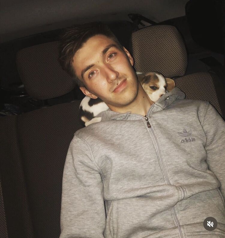 ���������� ����������, ���� ������� �����, 26 ���, ������������ ��� ������, c�������� ���������