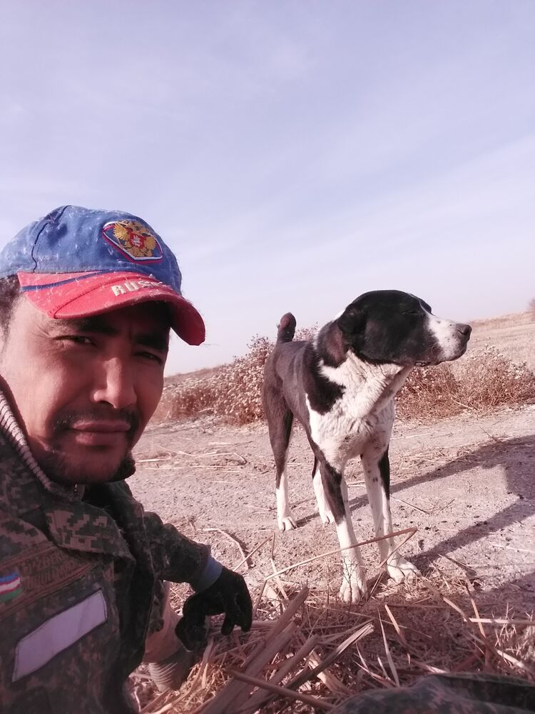  33181493  , 41 ,    