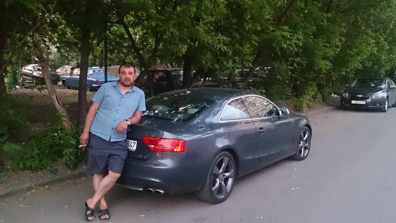  50381503  , 53 ,    