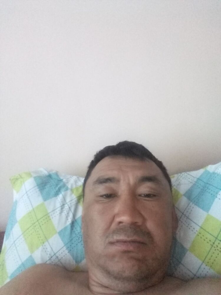  Vaslui,   , 48 ,   ,   , c 