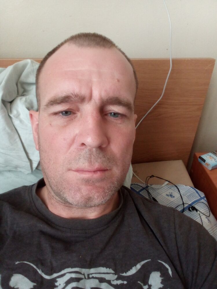  33719163  , 41 ,     