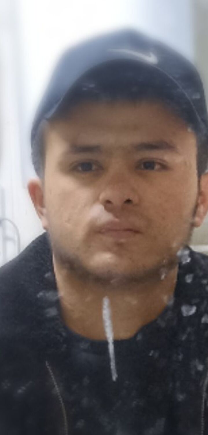 ���� 33534013 ����� �����, 25 ���, ���� ���������� � ������