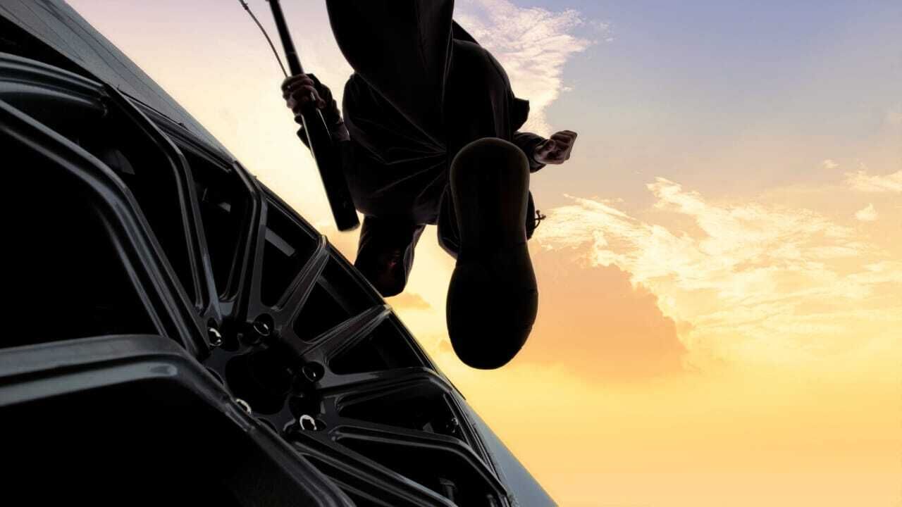 ���������� ������������, ���� ������� �����, 33 ����, ������������ 