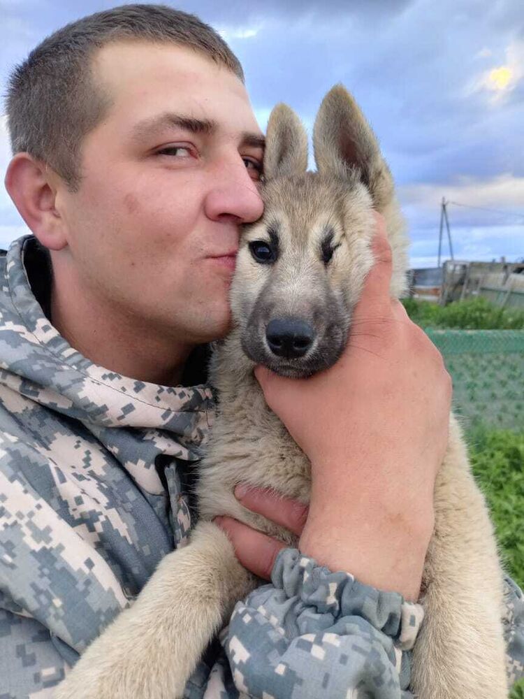 ���������� �������, ���� ������� �����, 32 ����, ������������ ��� ������, ����� � ���������, c�������� ���������, ���������