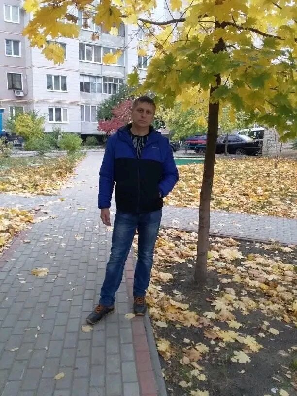  29184603  , 50 ,    
