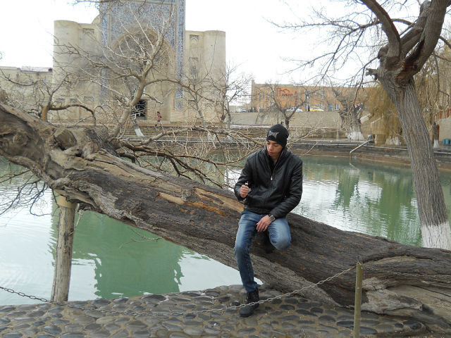  4001753  Damir, 35 ,    