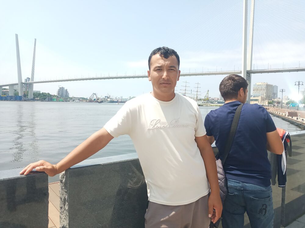  38038823  , 33 ,    