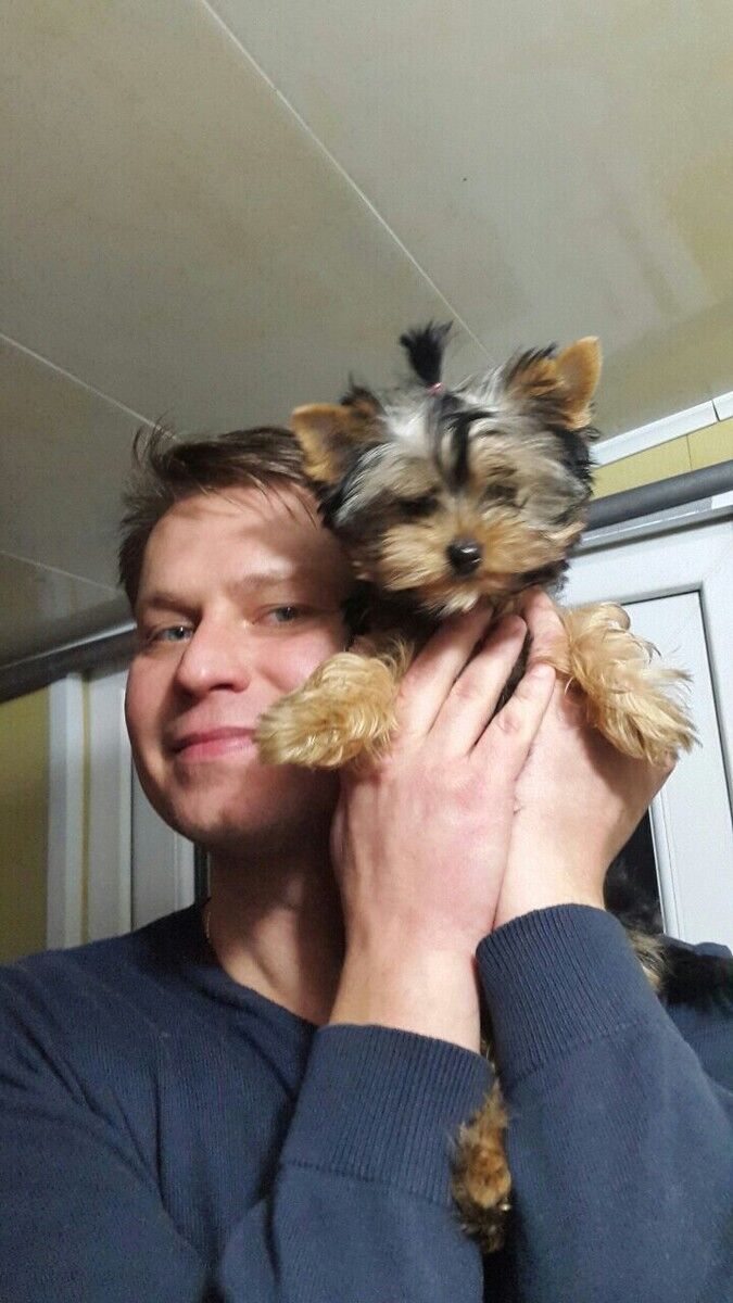 ���������� ������, ���� ������� Dani, 43 ����, ������������ ��� ����� � ���������, c�������� ���������