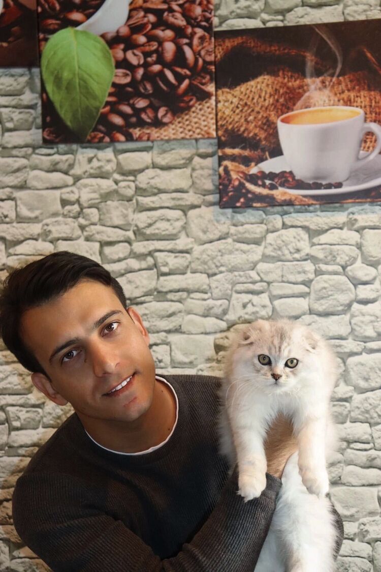 ���������� �����, ���� ������� Mehdi, 28 ���, ������������ ��� ������, ����� � ���������