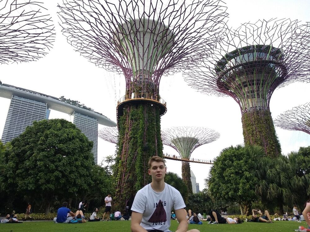 ���� 21053733 ������� �����, 36 ���, ���� ���������� � �������-��-����