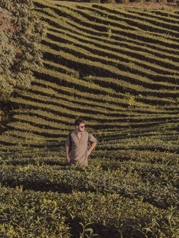 ���� 38668483 ������� �������, 32 ����, ���� ���������� � ������