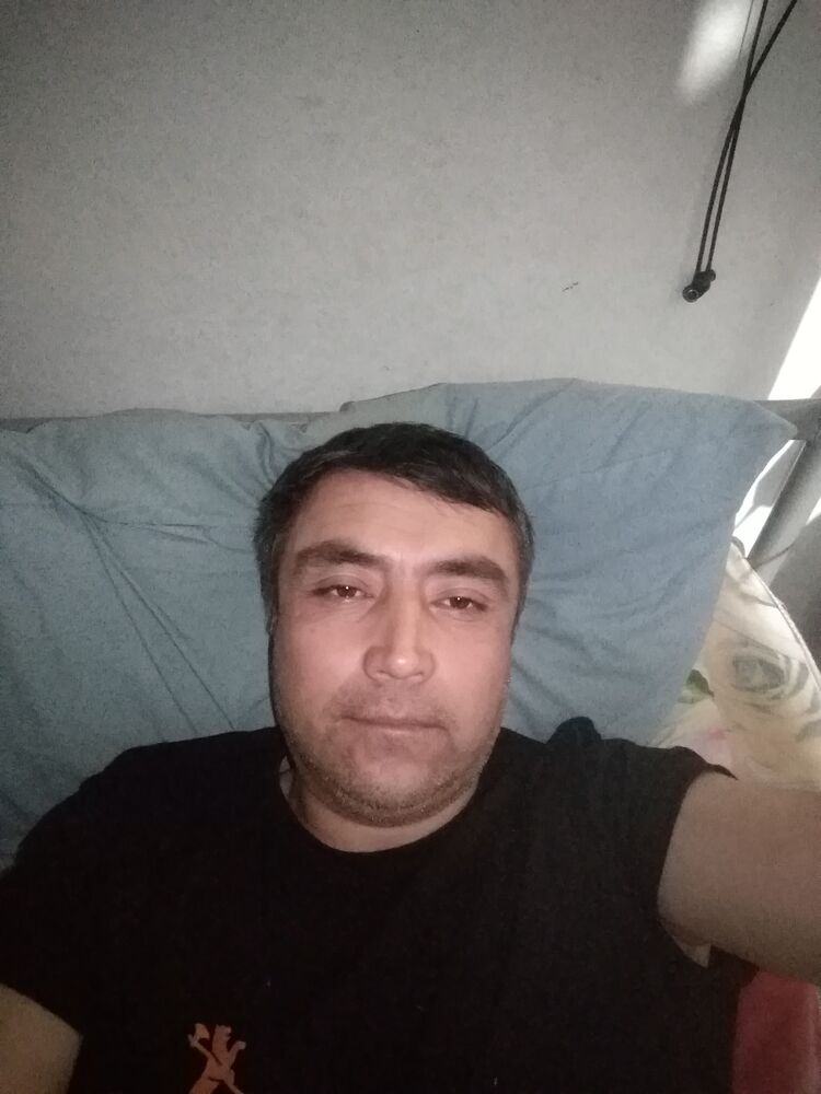  30847523  , 46 ,    
