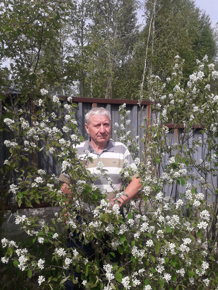  ,   , 74 ,   ,   
