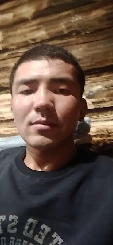  23195083  , 31 ,     