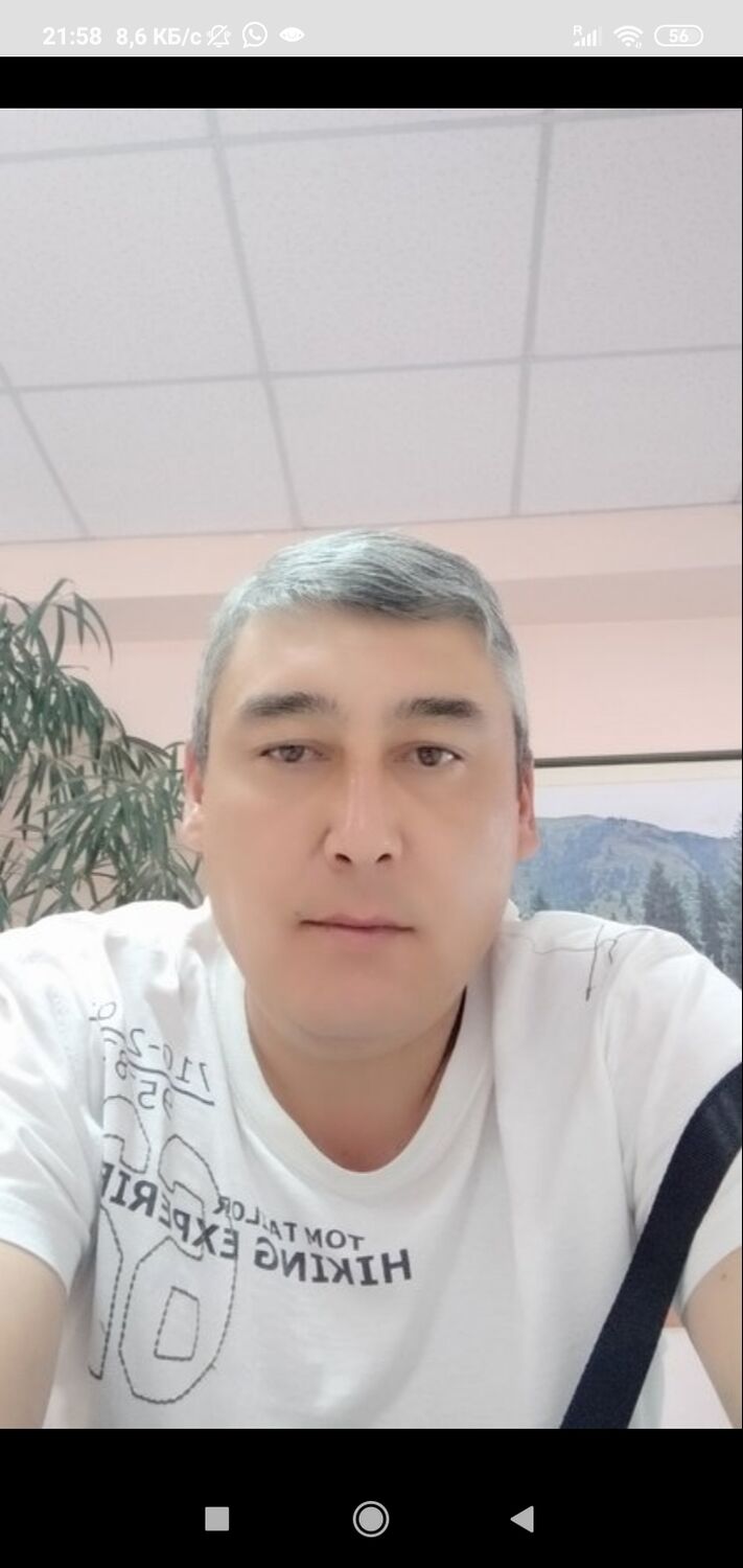  24290743  , 47 ,    