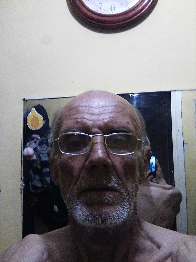  37353533  , 61 ,    