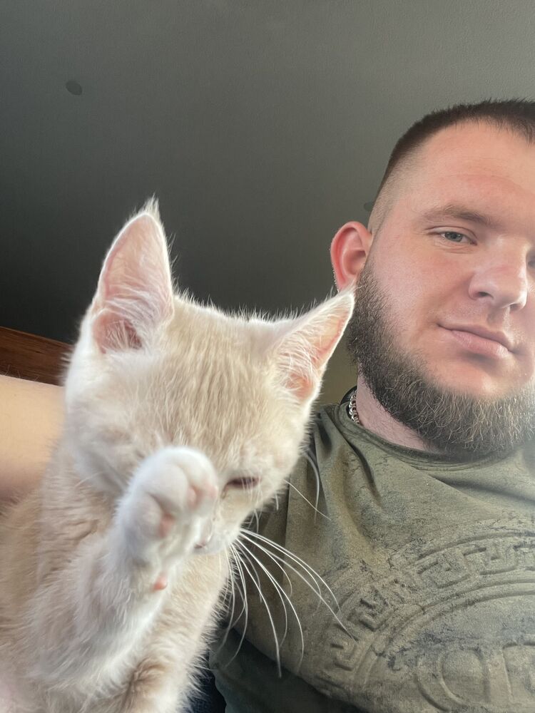 ���������� �����������, ���� ������� Aleksandr, 31 ���, ������������ ��� ������, ����� � ���������, c�������� ���������