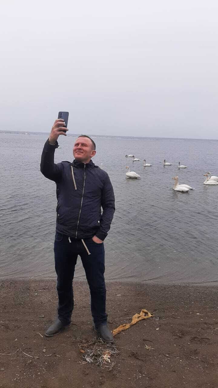 53866773  , 36 ,    -