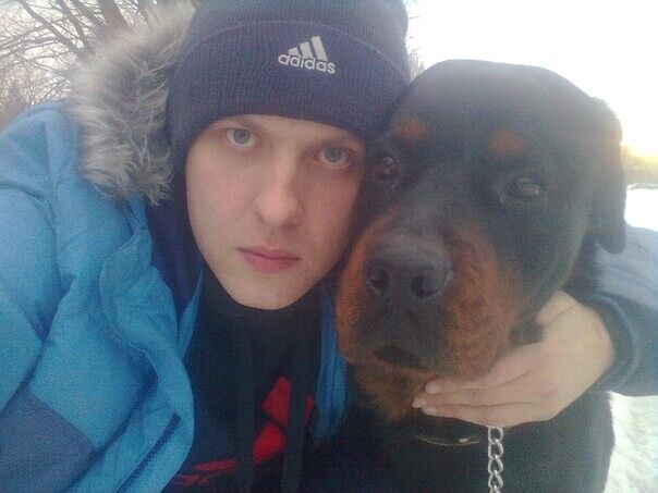 ���� 35662893 ������� �������, 38 ���, ���� ���������� � ������ ���������