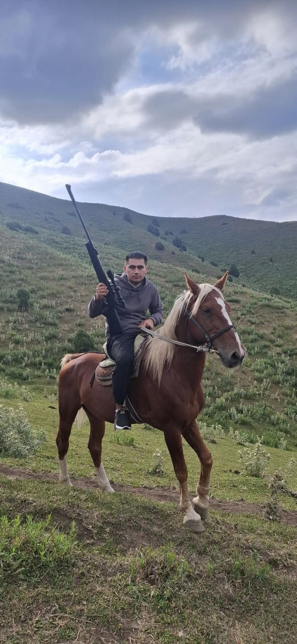  54744783  , 28 ,    -