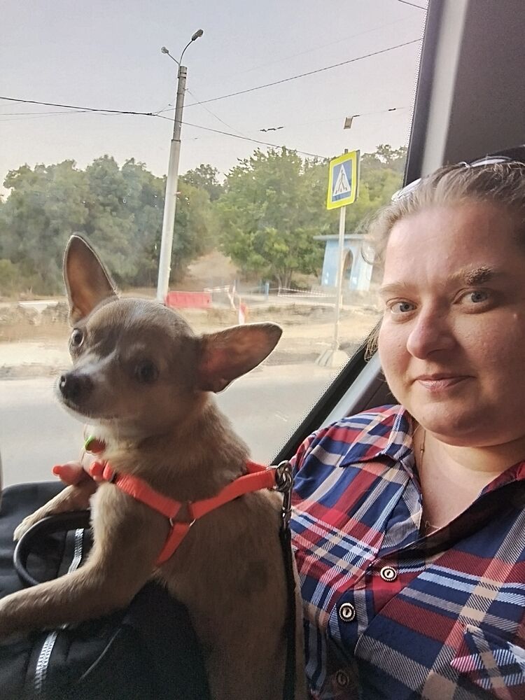 ���������� ����, ���� ������� ��������, 36 ���, ������������ ��� c�������� ���������, ���������