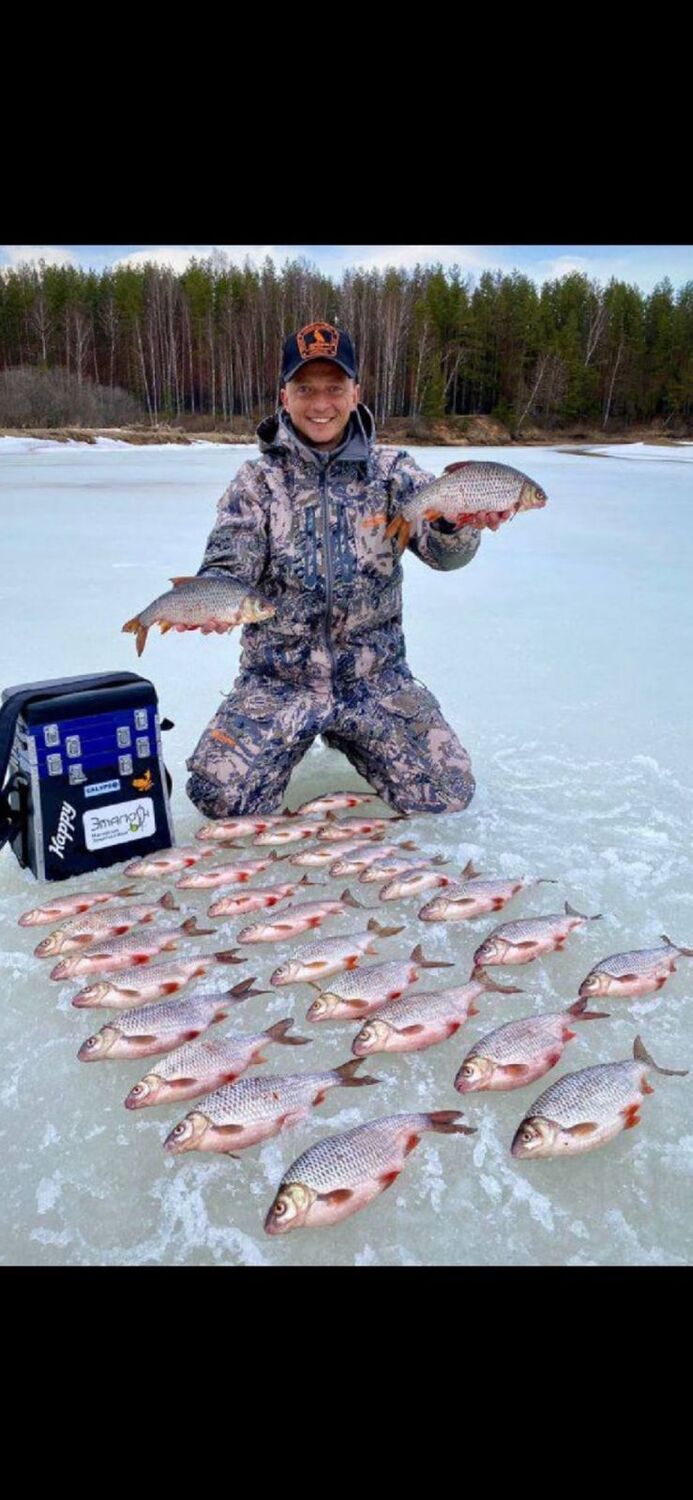 ���� 26743243 ������� ��������, 33 ����, ���� ���������� � �����