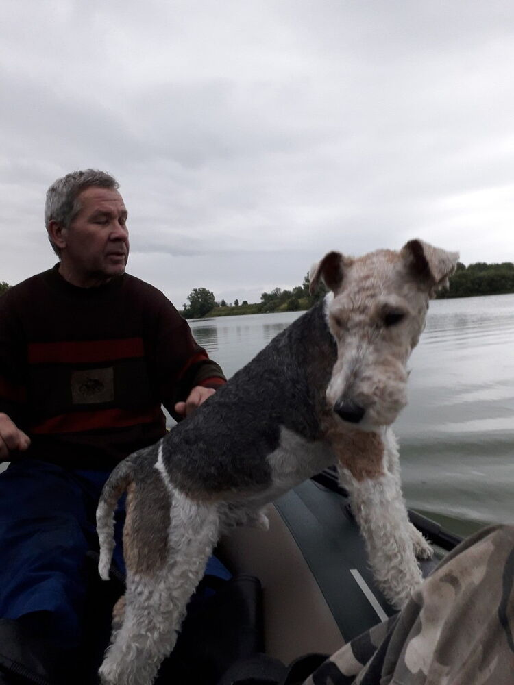  ,   Viktor, 55 ,   ,   , c 