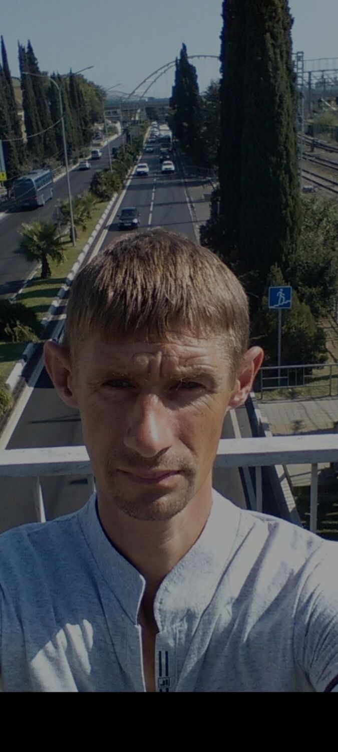  48065553  , 43 ,    